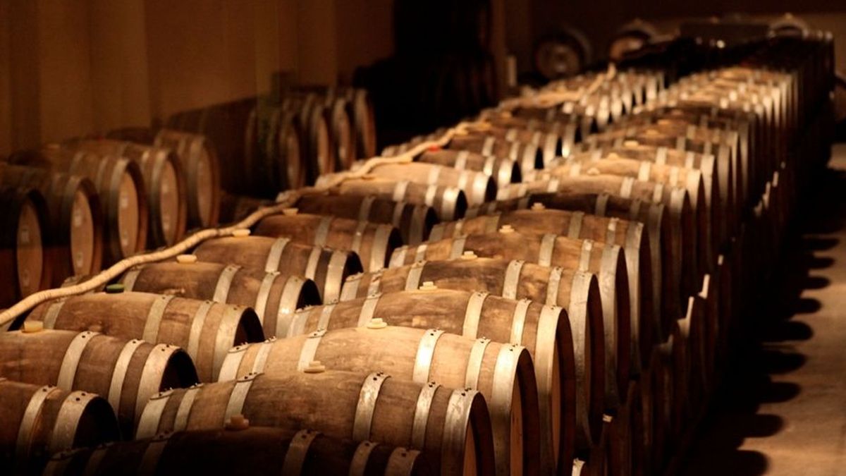 Las ventas de vino Rioja aumentan un 4,40% en el primer semestre