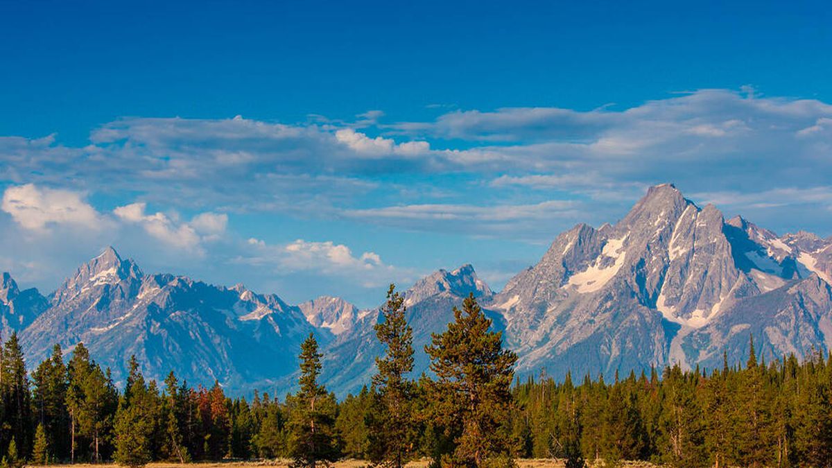 Yellowstone, el parque que popularizó el oso Yogui, cumple 150 años
