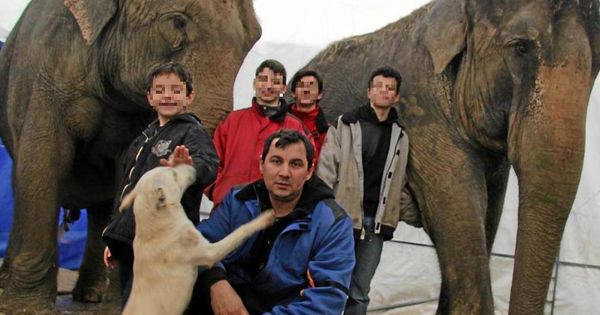 Foto:  El dueño y domador de las elefantas accidentadas en Albacete, Joy Gartner.