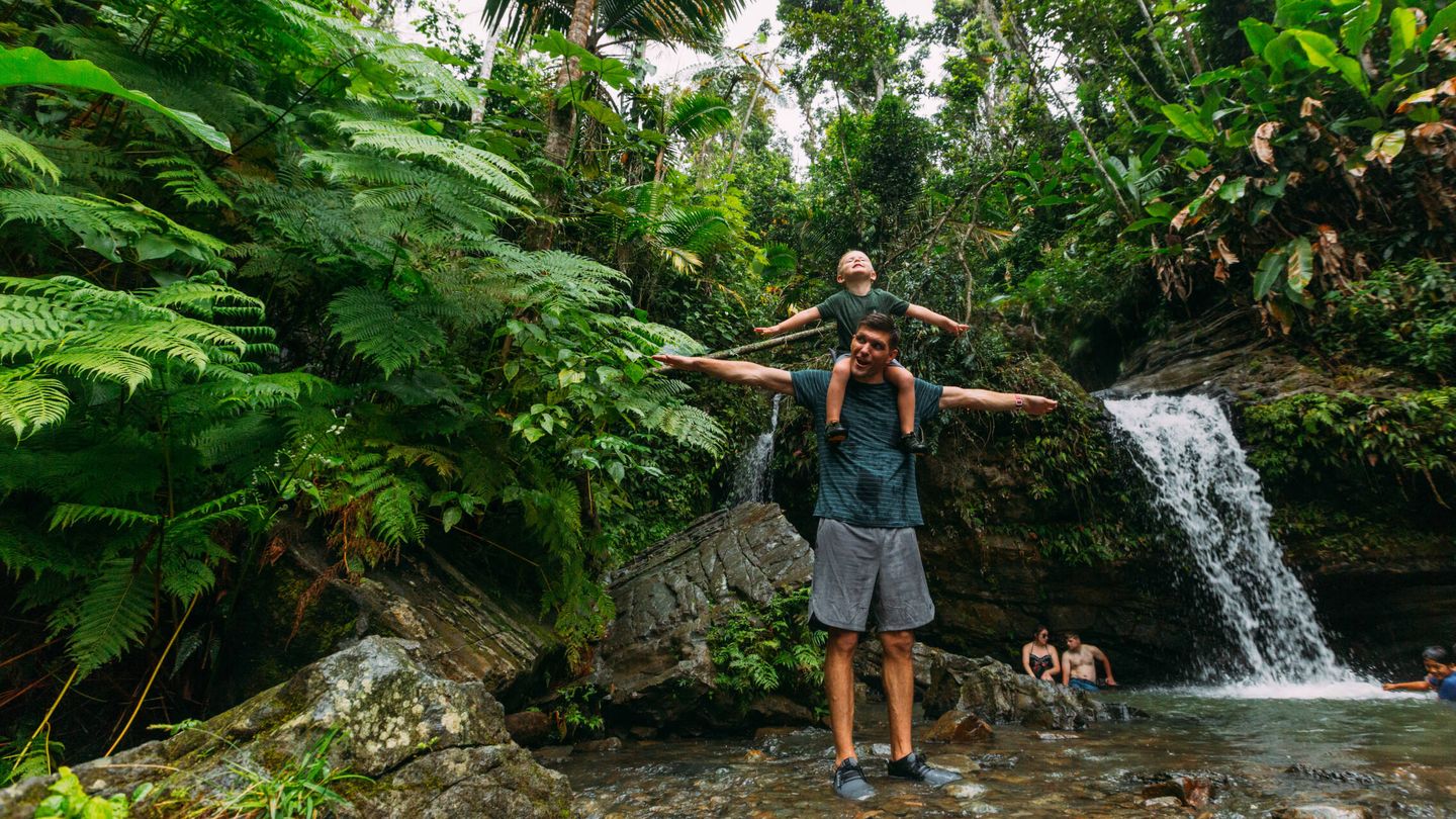 Bosque Nacional de Yunque. (Foto: cortesía).