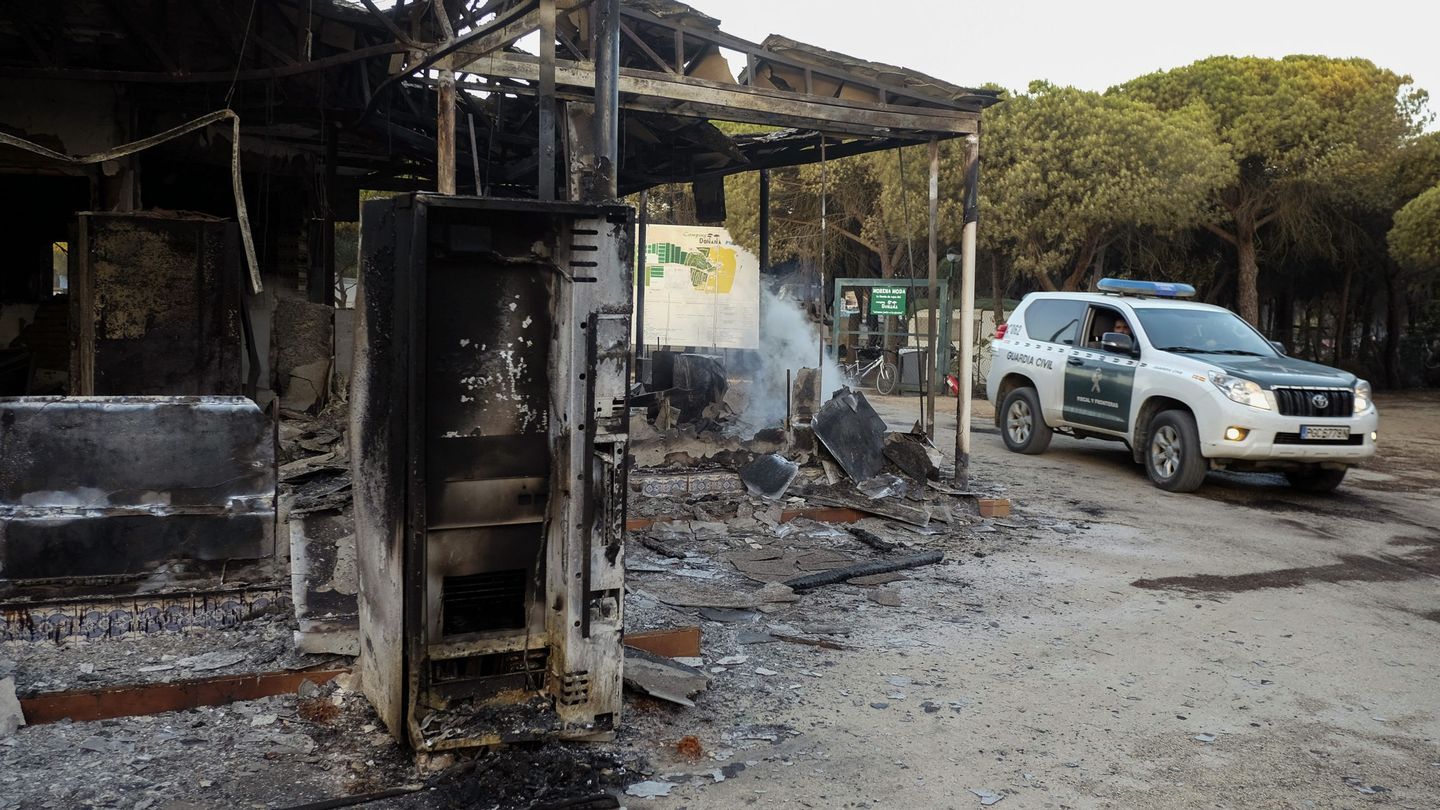 El incendio quemó más de 7.000 hectáreas del Parque Natural de Doñana. (EFE/Julián Pérez)