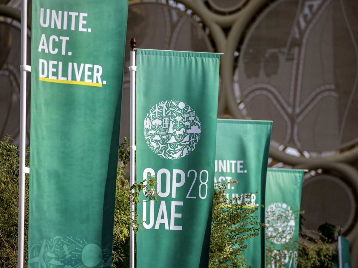 Foto: Banderas de la cumbre del clima (COP28) celebrada en Dubái. (EFE/Martin Divisek)