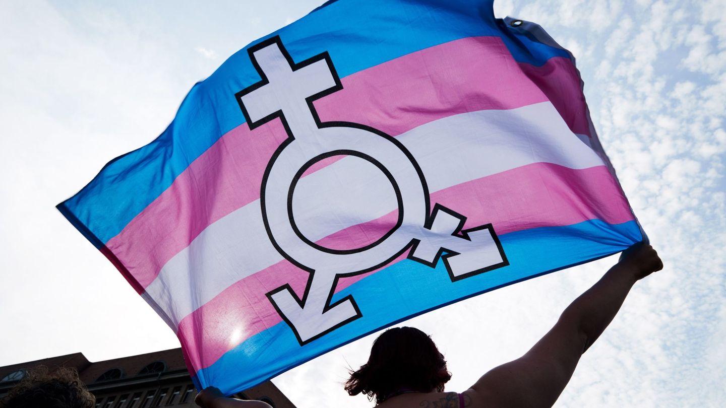 Un manifestante sostiene la bandera 'trans' en una marcha contra la transfobia en Berlín. (EFE)