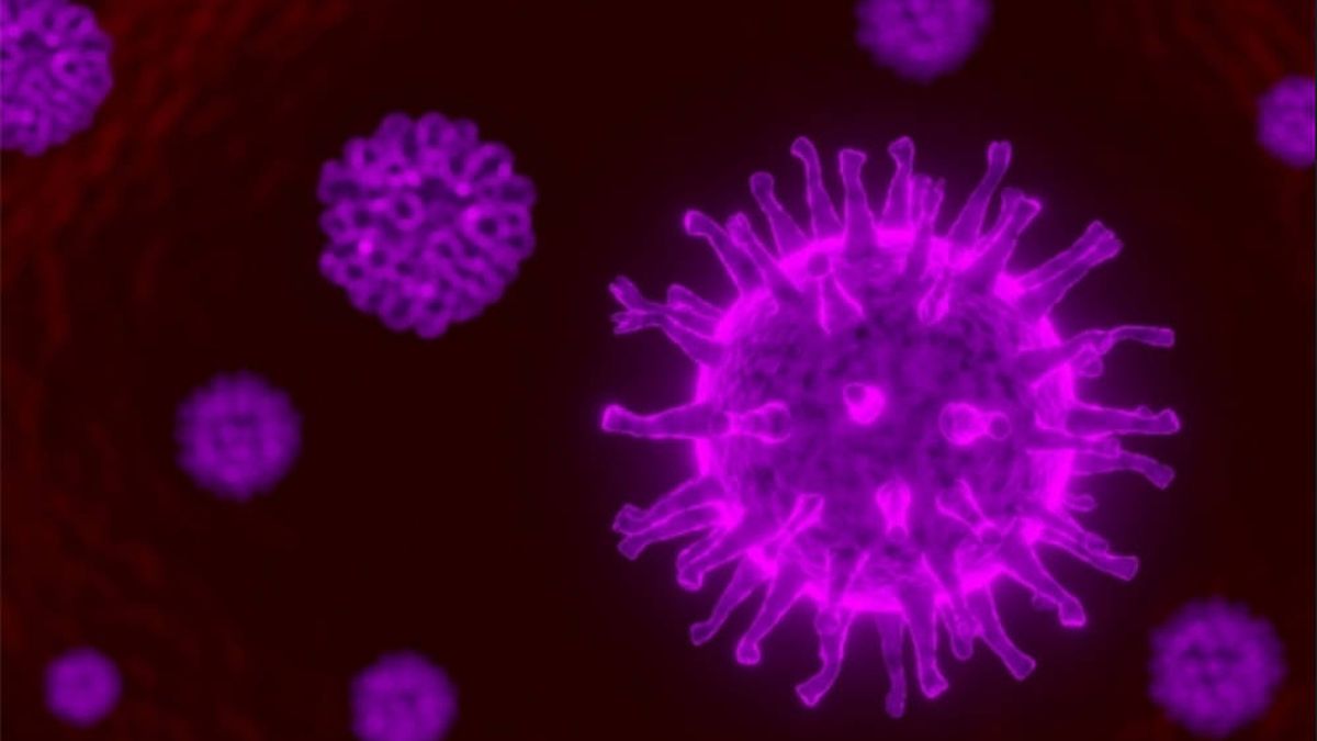 Científicos investigan cómo usar luces LED para desinfectar superficies de coronavirus