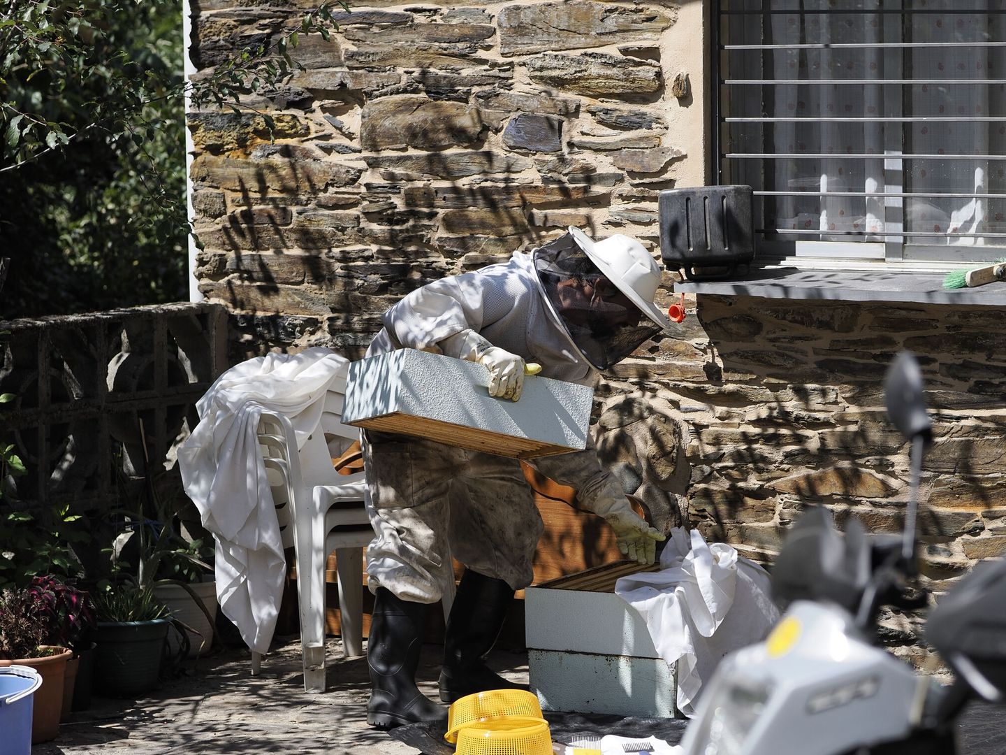Un apicultor 'esmelga' este domingo en O Caurel, Lugo. (EFE/Eliseo Trigo)