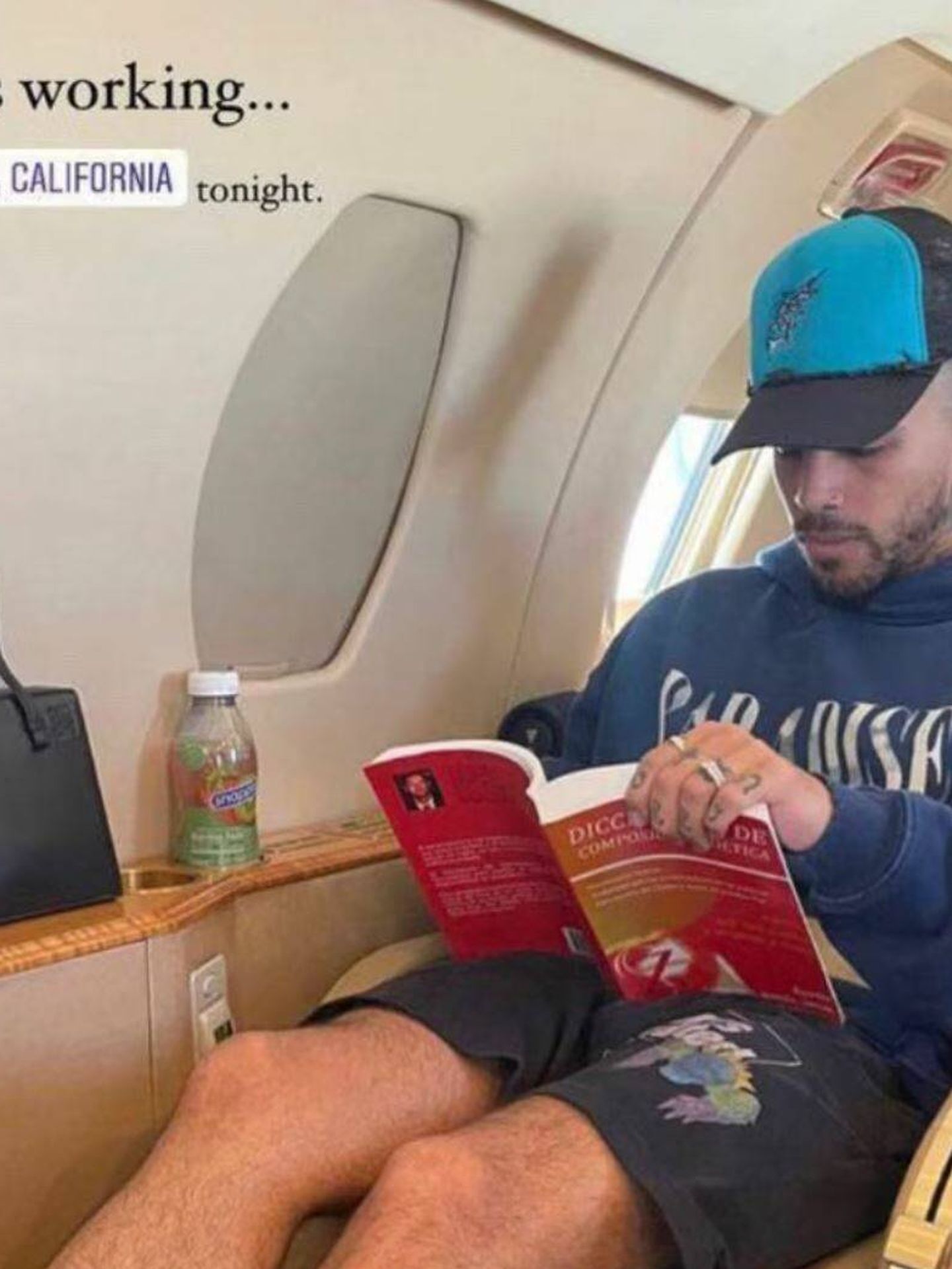 Story de Raw Alejandro en que se le ve leyendo el mismo libro. (Instagram/@rauwalejandro)