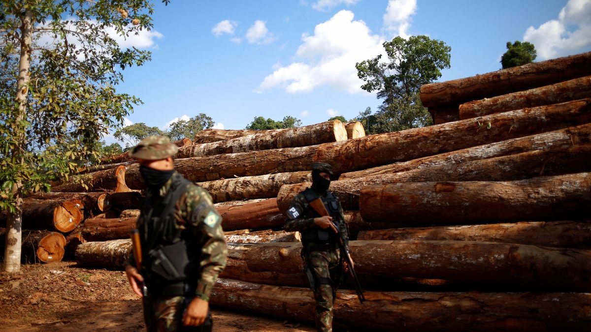Brasil revela su 'sorpresa' pos-COP26: la peor deforestación de la Amazonía en 15 años