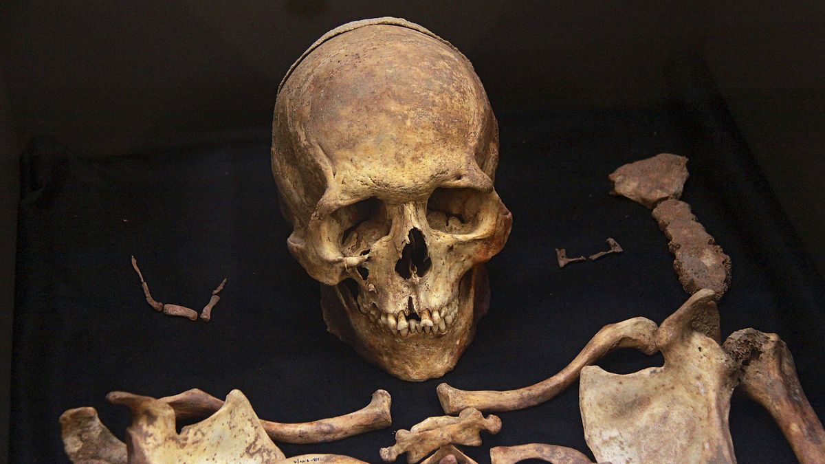 Masacre en Iberia: todos los españoles fueron exterminados hace 4.500 años