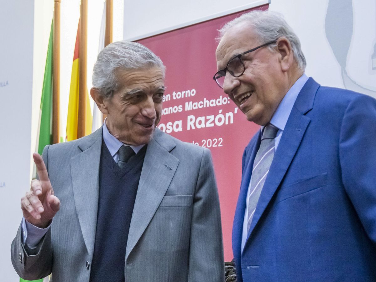 Foto: Braulio Medel (i), presidente de la Fundación Unicaja, con el exvicepresidente del Gobierno Alfonso Guerra (d), recientemente en Sevilla. (EFE/Raúl Caro)