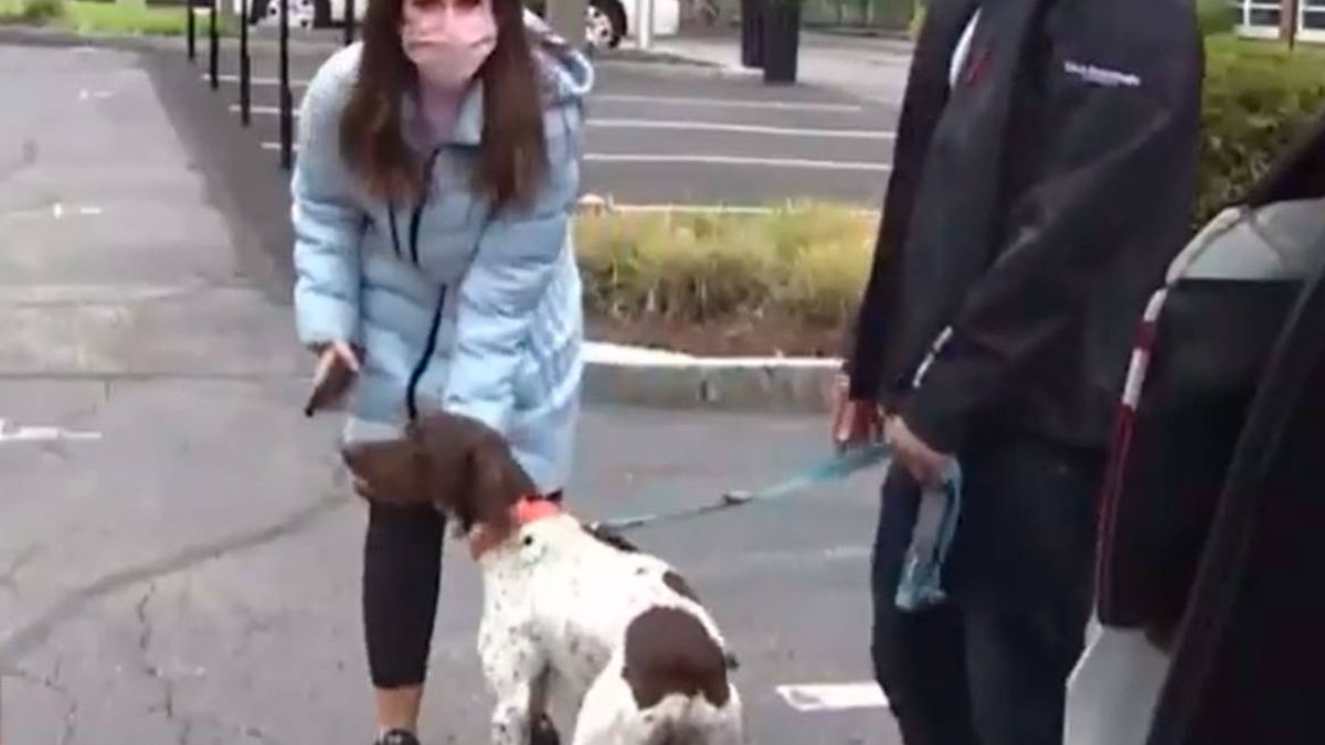 Una periodista rescata a un perro que había sido robado "por accidente" el día antes