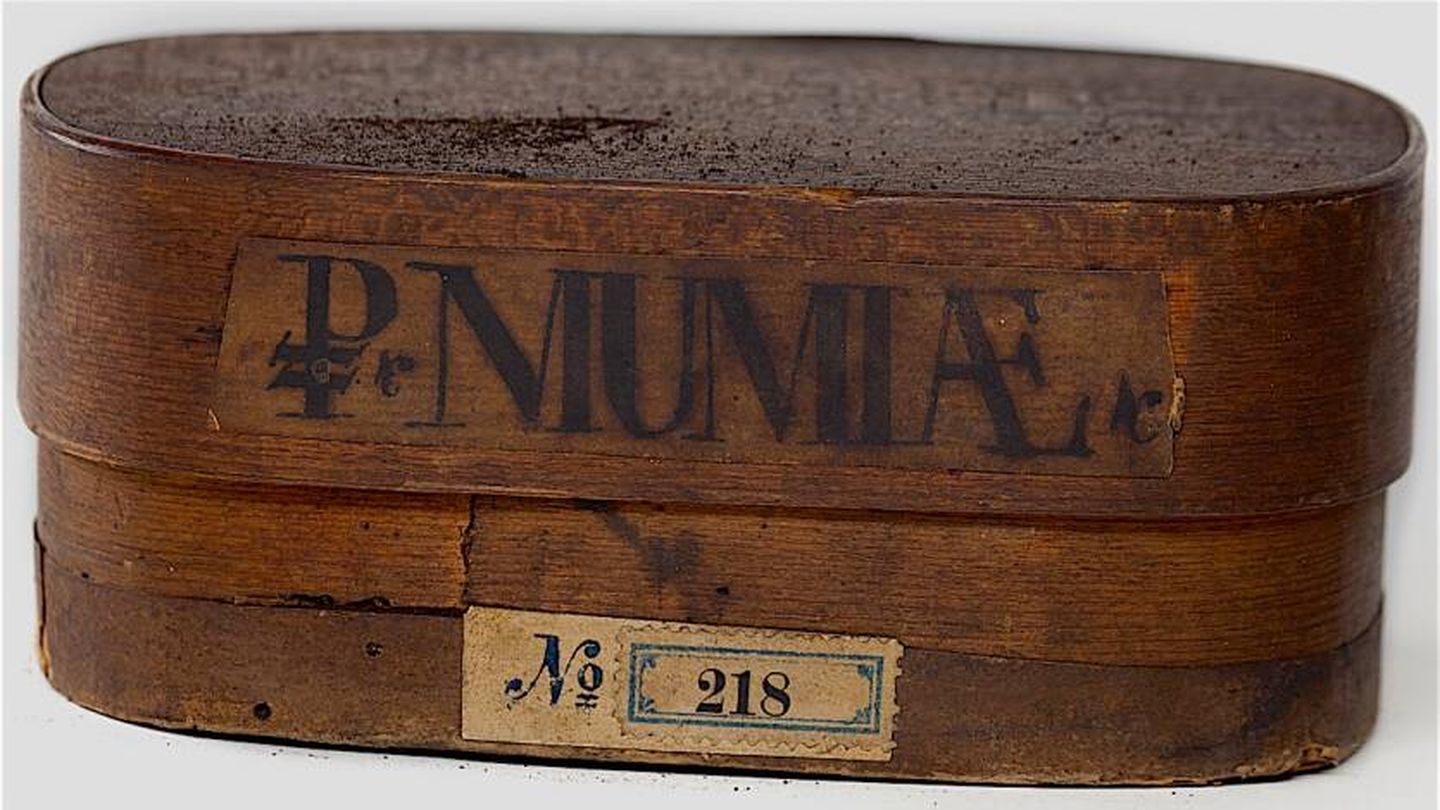 Caja médica con mumia. (Wikicommons)