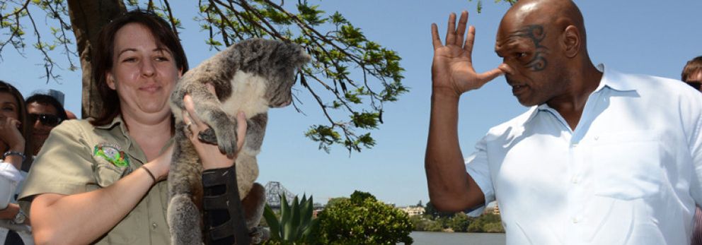 Foto: Mike Tyson tiene pánico a los koalas