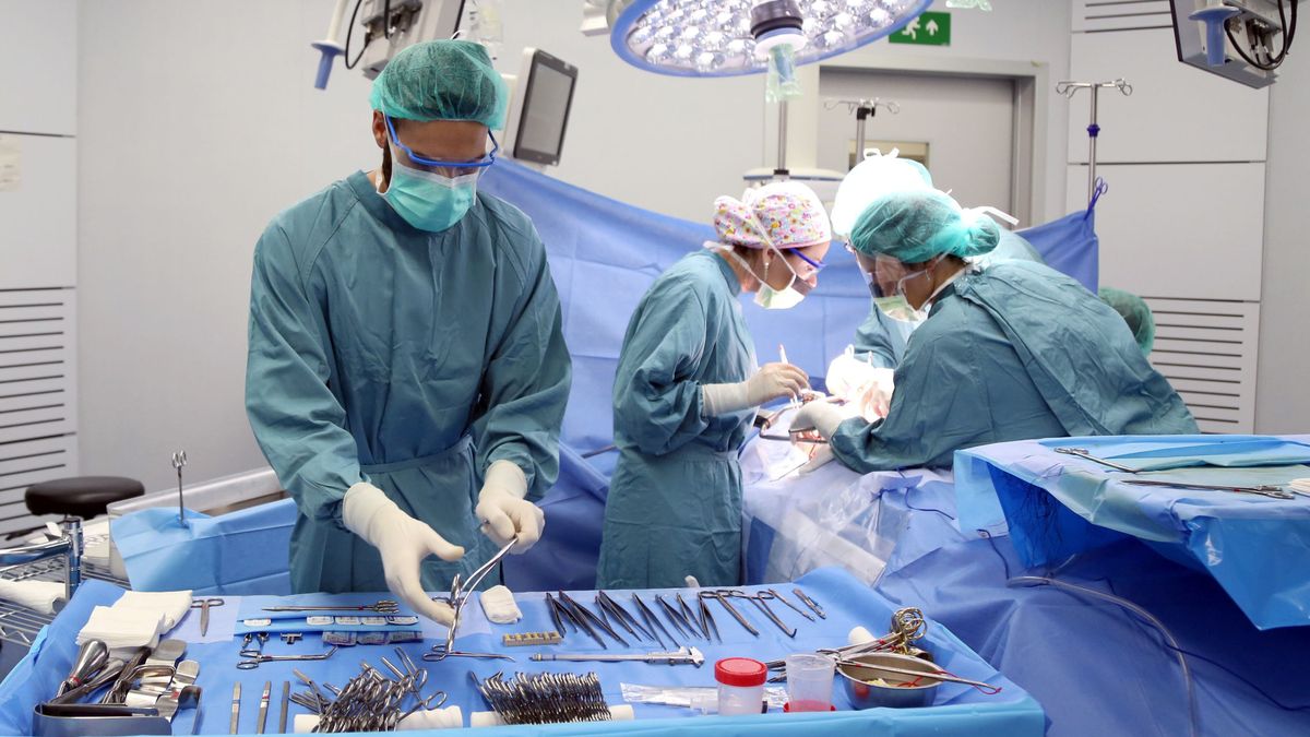 De 130 a la semana a solo tres: el colapso sanitario golpea los trasplantes