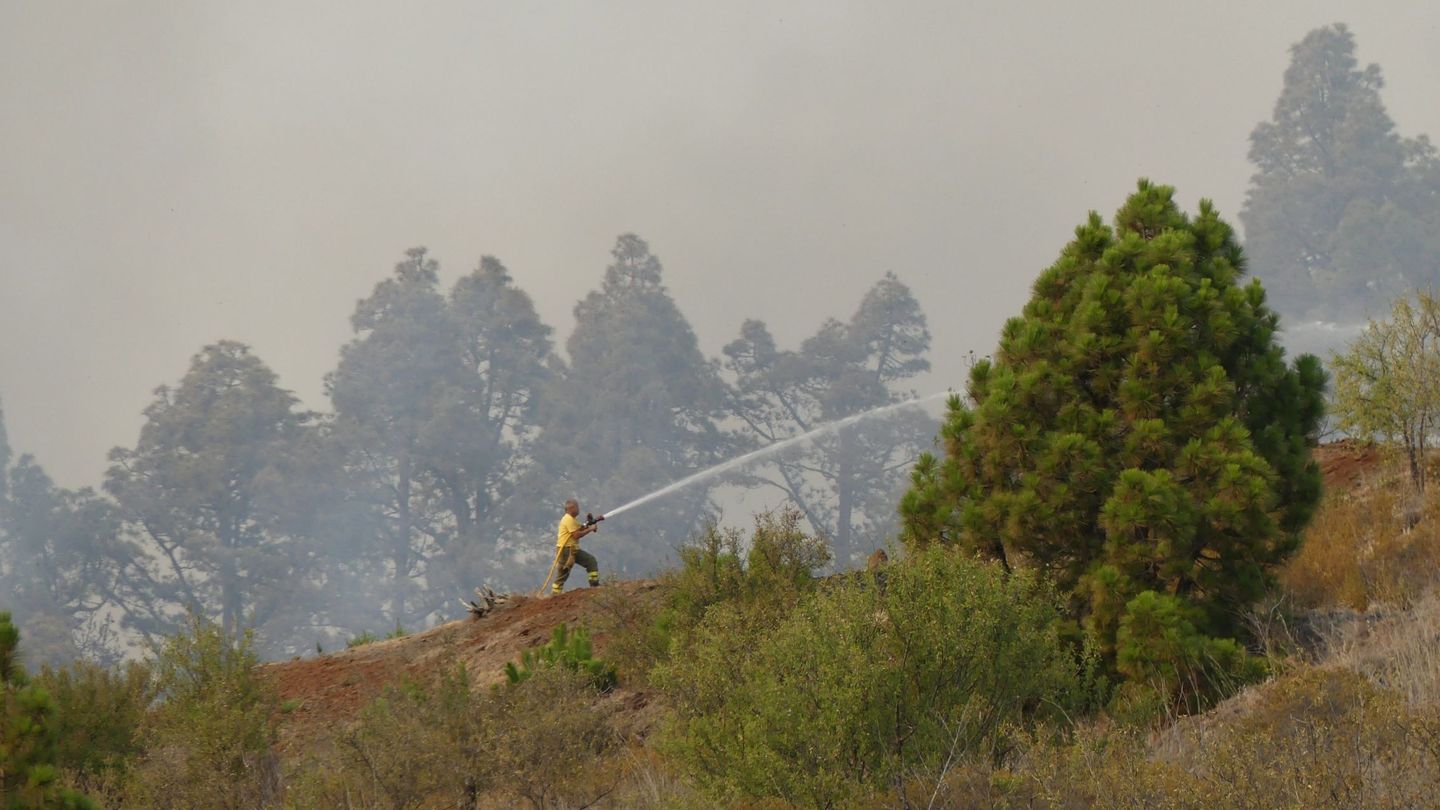Efectivos de los bomberos durante las labores de extinción del incendio forestal. (EFE)