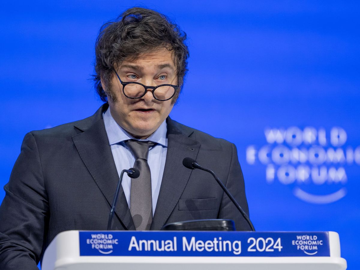 Foto: Javier Milei interviene en el Foro de Davos. (EFE)