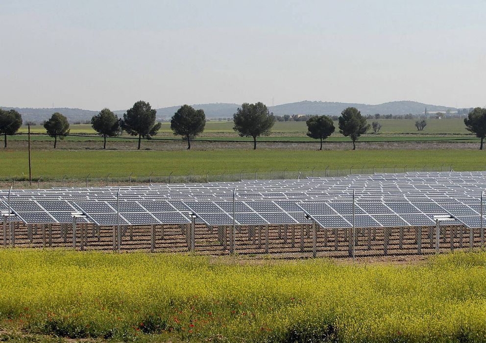 Foto: Placas solares en la provincia de Ciudad Real. (Efe)