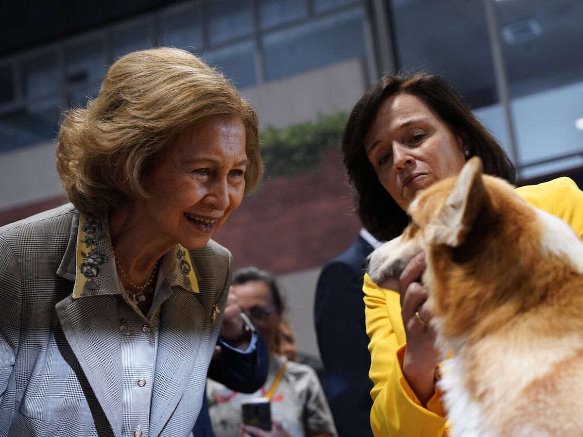 Foto: La reina Sofía sonríe a un perro en el World Dog Show en Ifema. (Limited Pictures)