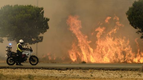 200 afectados y una fotocopiadora de refuerzo: cinco años del incendio que cercó Doñana