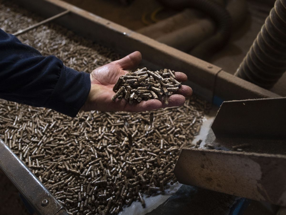 Foto: Las exportaciones de pellet se han duplicado. (EFE/Georgi Licovski)