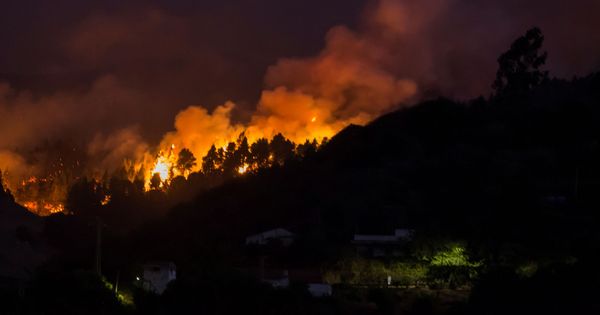 Foto: El fuego llega al enclave natural de Tamadaba. (Reuters)