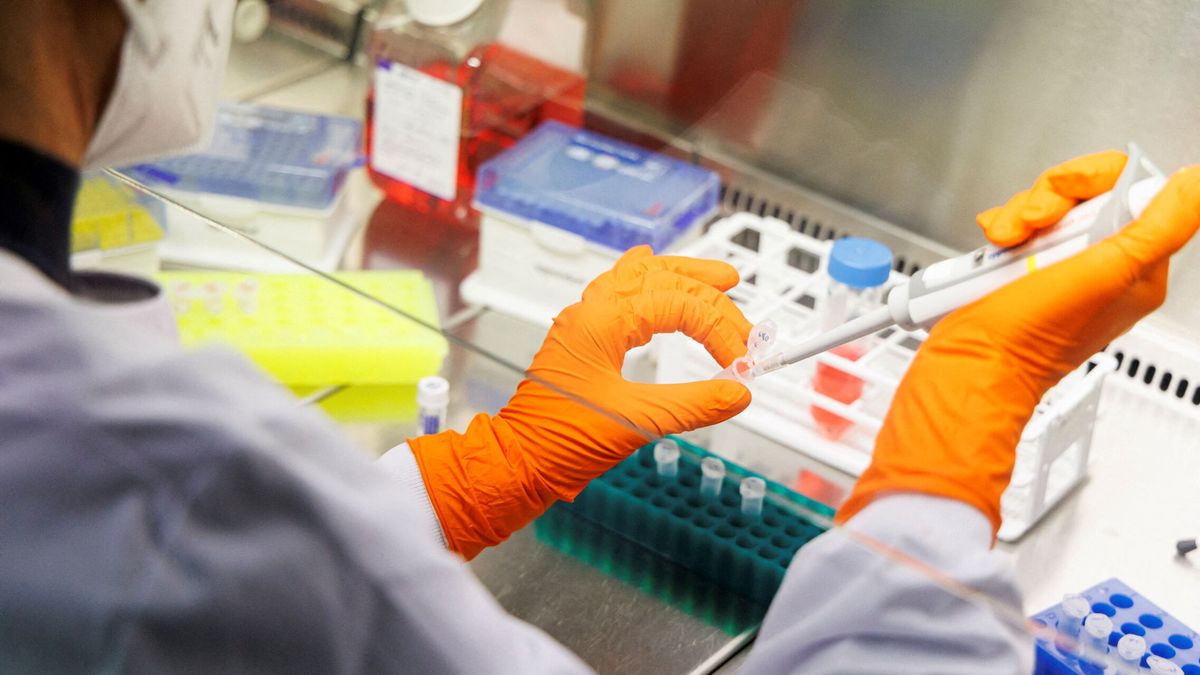 España recibe las primeras 5.300 dosis de la vacuna Jynneos contra la viruela del mono