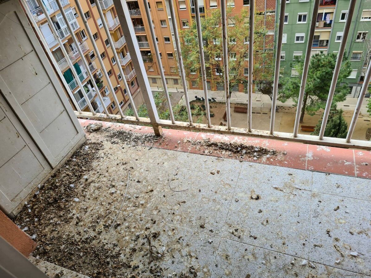 Foto: Uno de los balcones afectados por las deposiciones de las palomas. (Cedida)