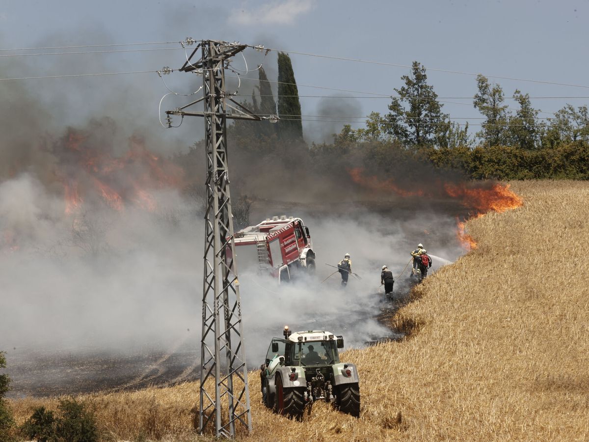 Foto: Incendio forestal entre las localidades navarras de Olloki y Alzuza. (EFE/Jesús Diges)