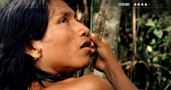 Foto: Una imagen del documental brasileño 'El canto de la selva'. (Surtsey)