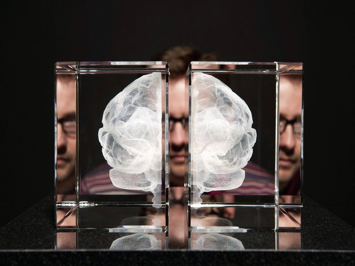 Foto: Exposición en Londres sobre los misterios de la mente y el cerebro (EFE)