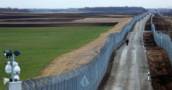Foto: Un policía húngaro vigila la frontera fortificada entre Serbia y Hungría, a la que recientemente se añadió una segunda valla. (Reuters)