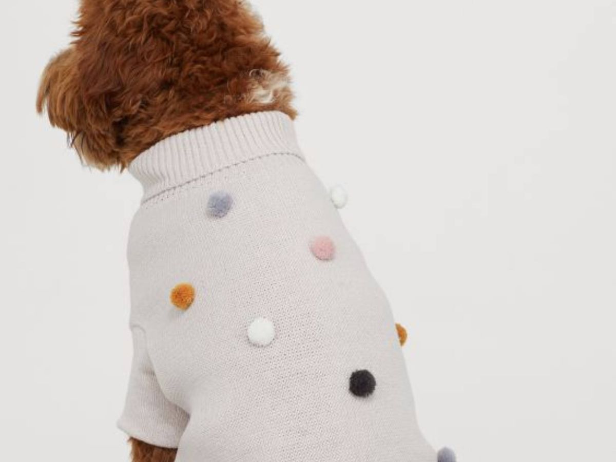 Foto: La nueva colección de prendas para perro de HyM. (Cortesía)