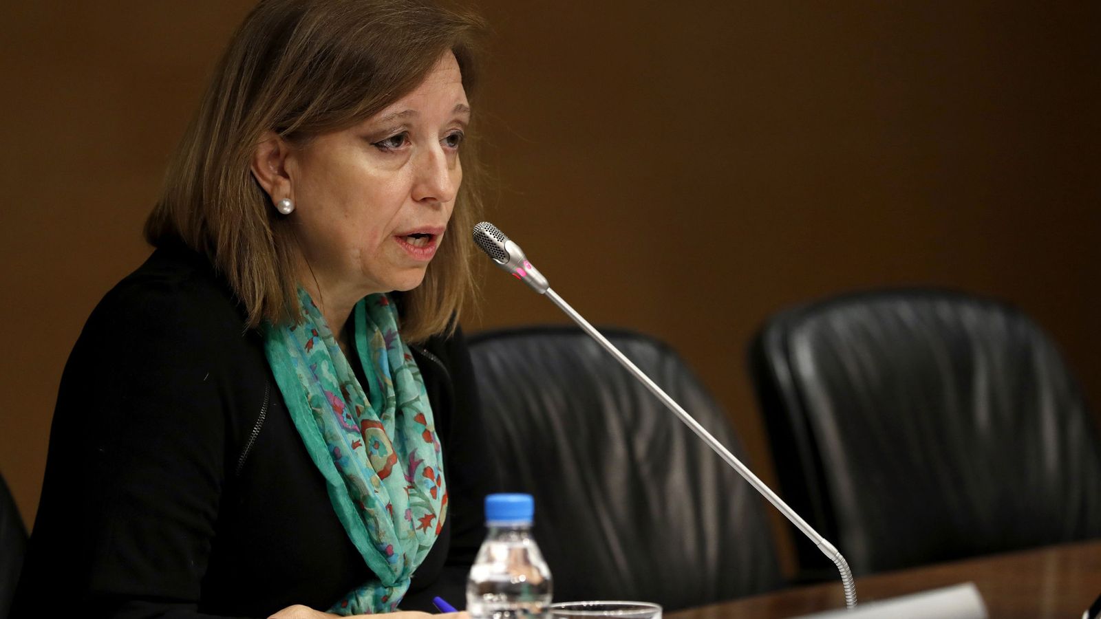 Foto: La secretaria de Estado de Comercio, María Luisa Poncela. (EFE)
