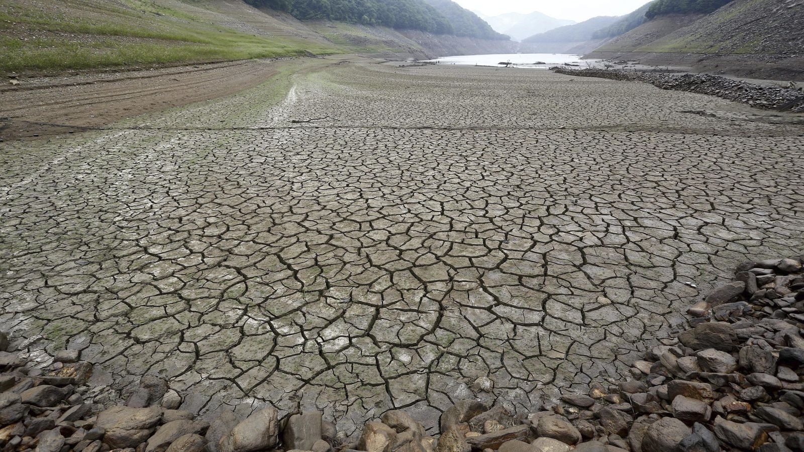 Foto: Campo escamado por la sequía