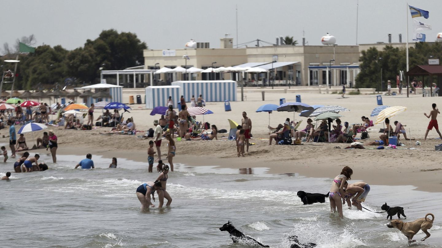 Imagen de la playa para perros en Pinedo. (Valencia) 