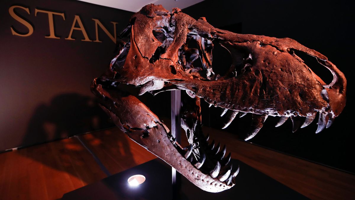 Un esqueleto completo de Tiranosaurio rex, a subasta