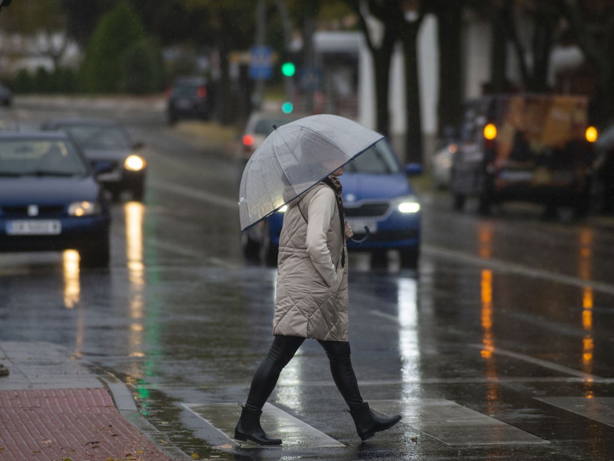 Foto: Una mujer se protege de la lluvia en Ciudad Real. (EFE/Jesús Monroy)
