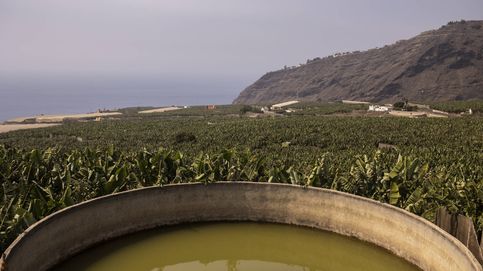 Misión, salvar el agua de La Palma: los planes para evitar que el volcán seque el sur de la isla