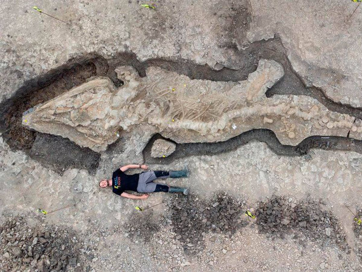Encuentran un enorme 'reptil marino' fosilizado en el embalse de Rutland