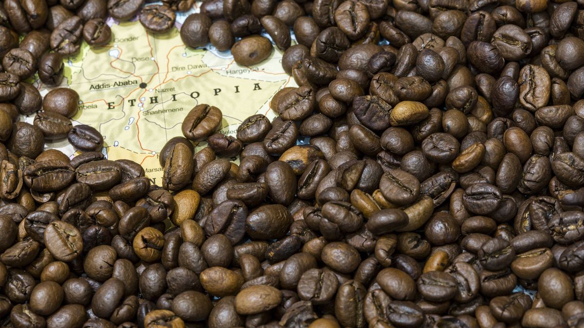 Los rituales del café: qué dice esta bebida de nosotros como especie 