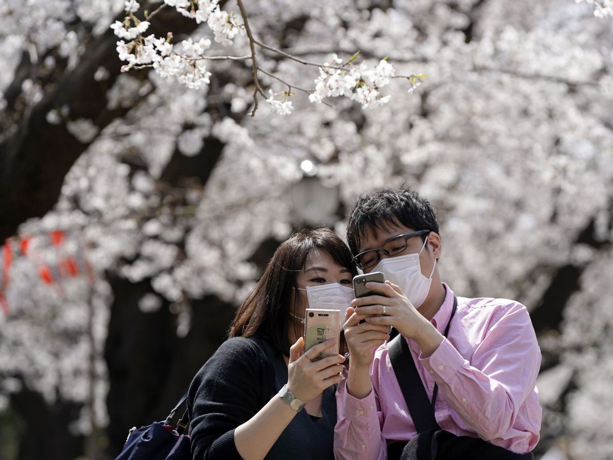 Foto: 'Wakaresaseya', los 'espías' de Japón que se encargan de sabotear tu matrimonio. (Reuters)