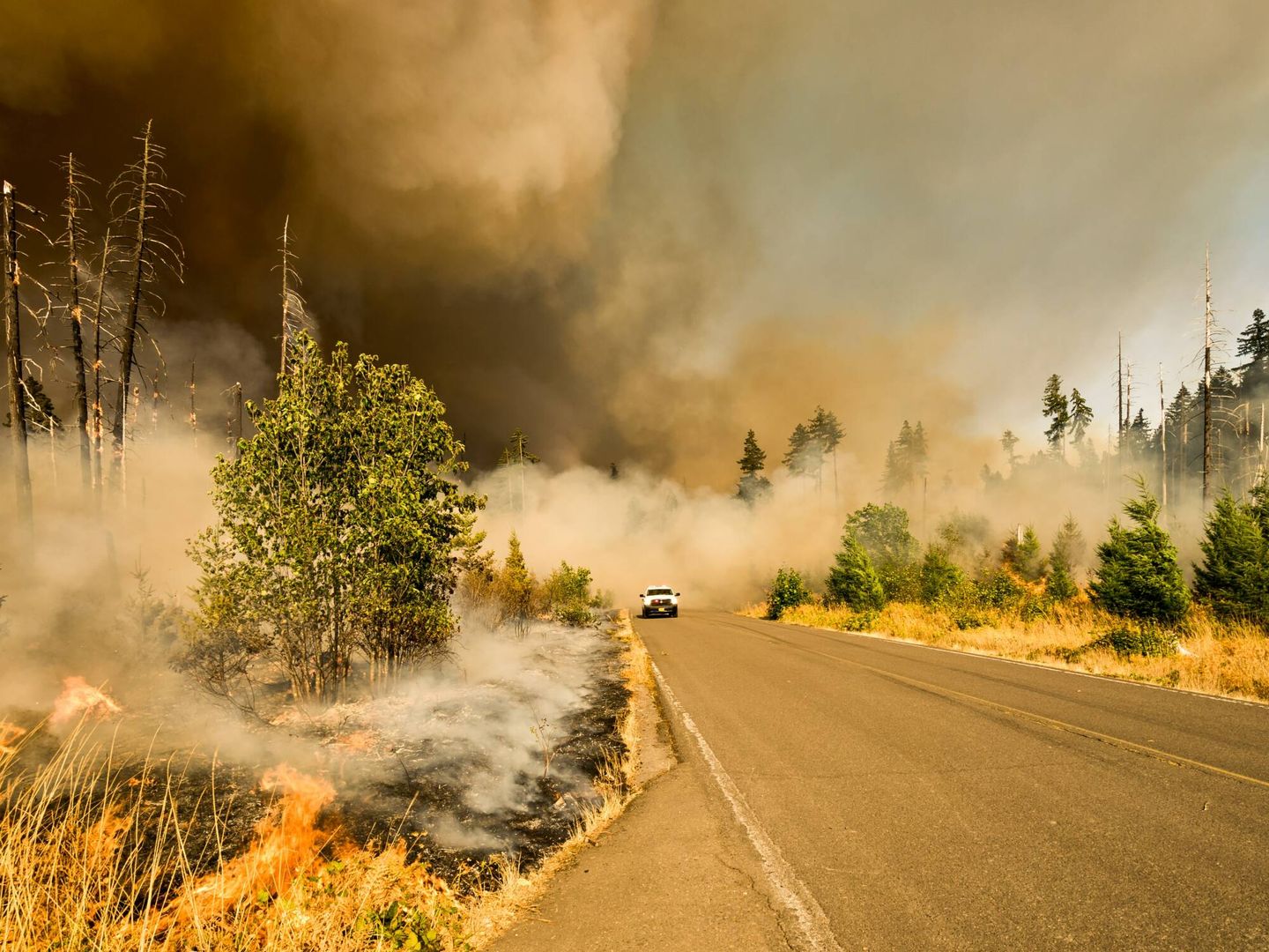 Los incendios forestales cada vez más frecuentes son reflejo de la crisis climática. (Unsplash)