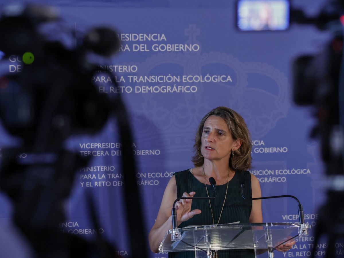 Foto: La ministra para la Transición Ecológica y el Reto Demográfico, Teresa Ribera. (EFE/Chema Moya)