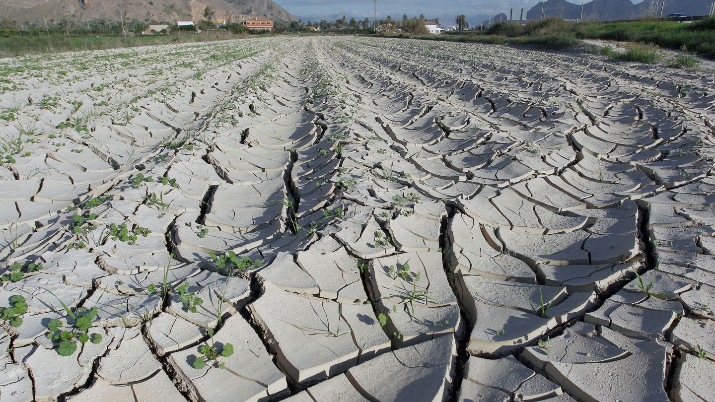 Los escenarios de sequía más severos contemplan la suspensión del riego agrícola. (EFE) 