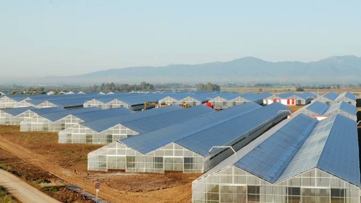Planta solar en Cerdeña construida por GES