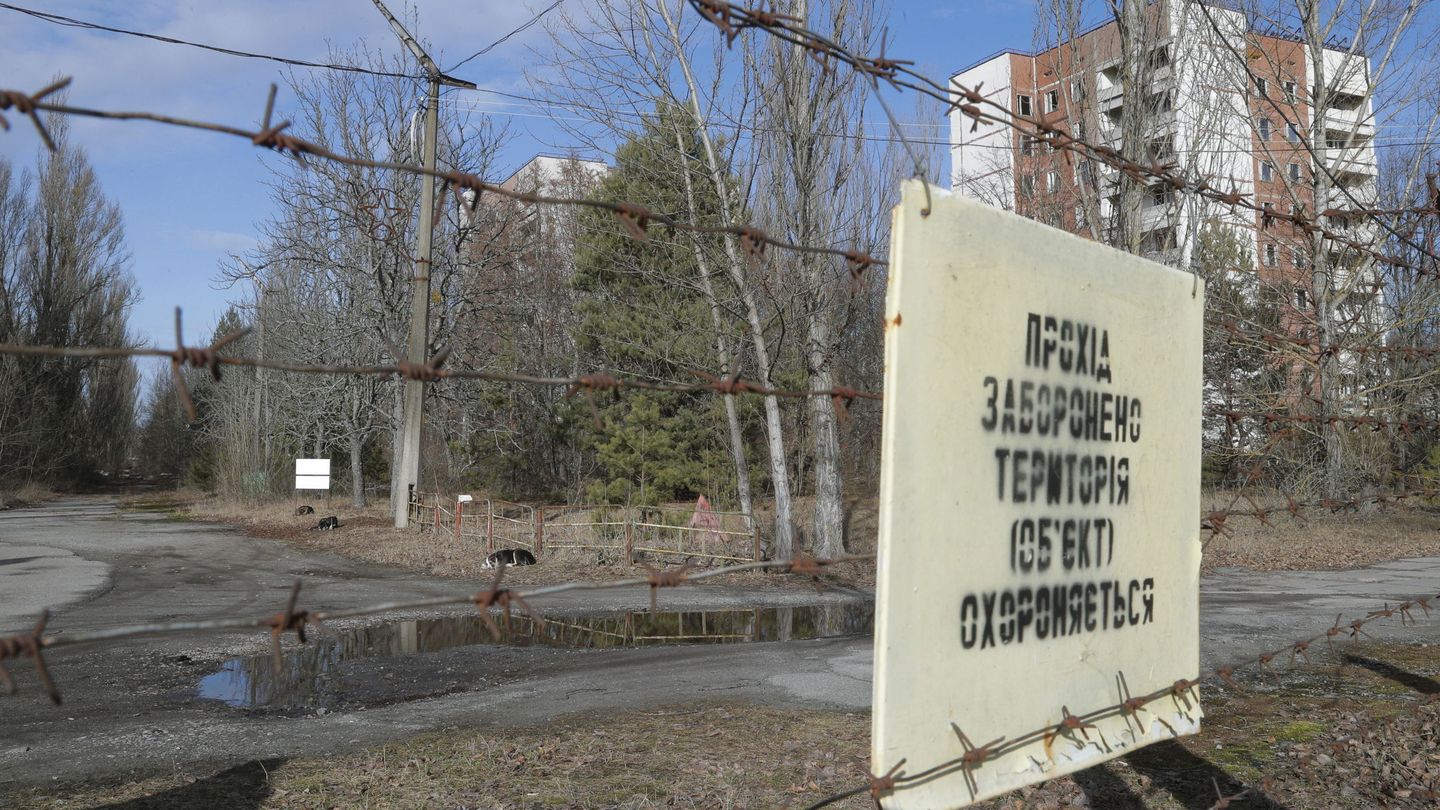 Zona de exclusión de Chernóbil. (EFE)