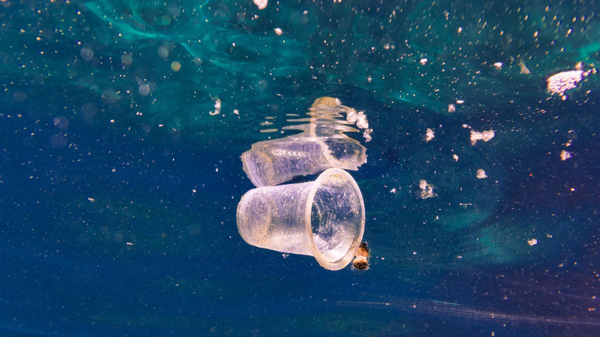 Un pez robot que recoge microplásticos podría ayudar a limpiar los océanos