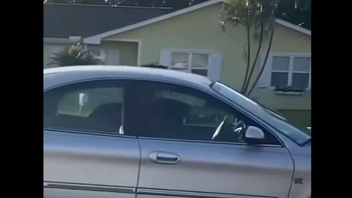 Un perro le roba el coche a su dueño y conduce marcha atrás durante una hora