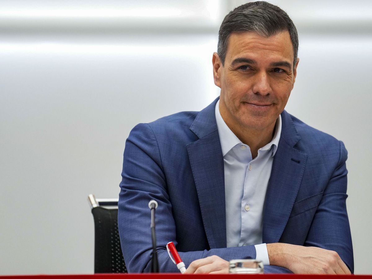 Foto: Pedro Sánchez, este lunes en la reunión de la Comisión Ejecutiva Federal del PSOE (EFE/Borja Sánchez Trillo)
