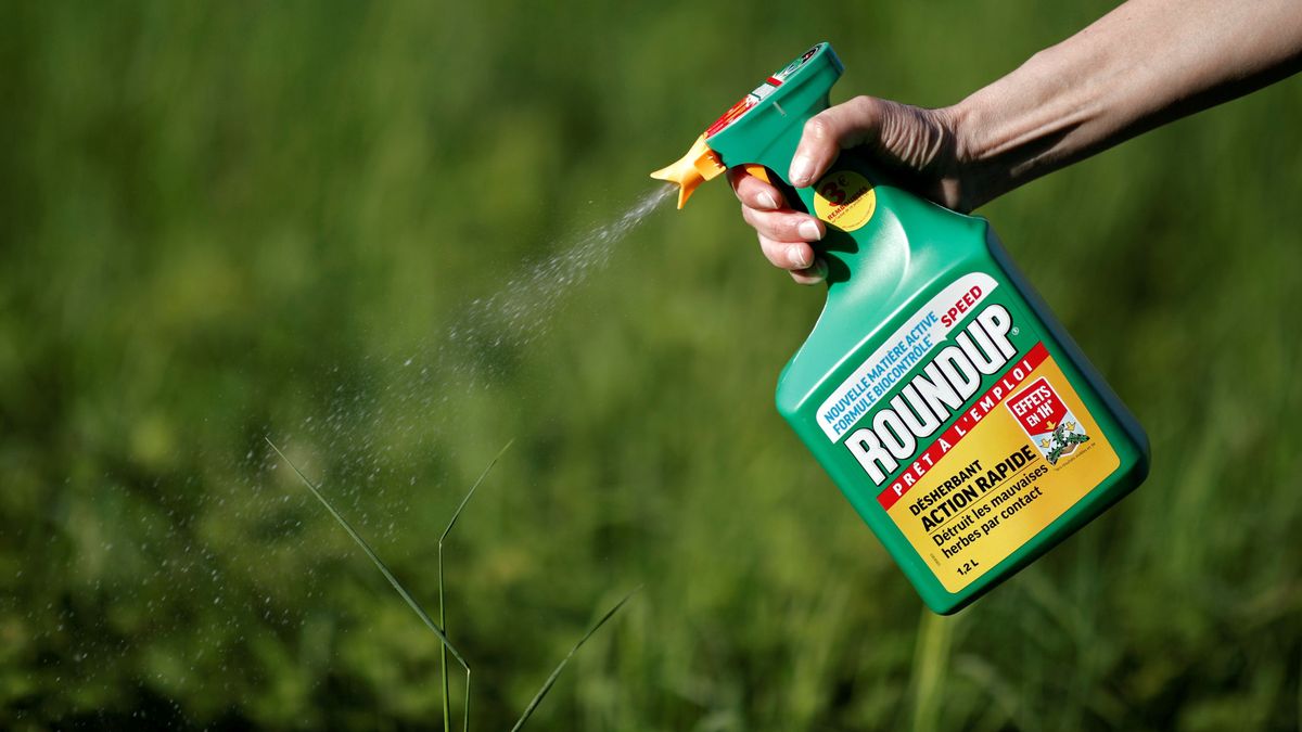 Monsanto indemnizará con 289 M de dólares a un enfermo terminal 