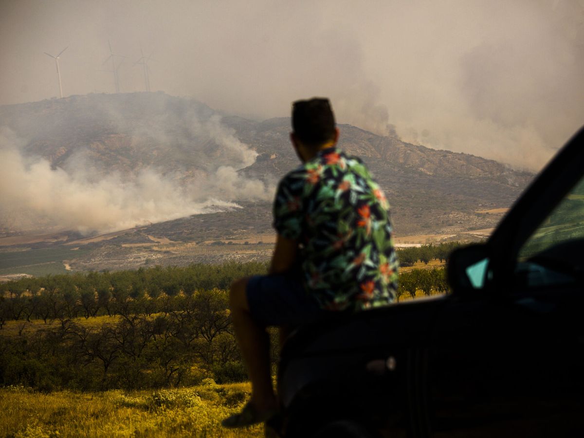 Foto: Un vecino del municipio de Borja observa el incendio en la zona de Moncayo (Zaragoza). (EFE/Toni Galán)